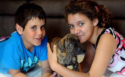 Kaile Clarke and Kyla Gould cosy up with their new little pup, Milo. Kaile Clarke and Kyla Gould cosy up with their new little pup, Milo.
